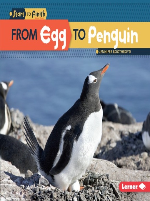 Title details for From Egg to Penguin by Jennifer Boothroyd - Available